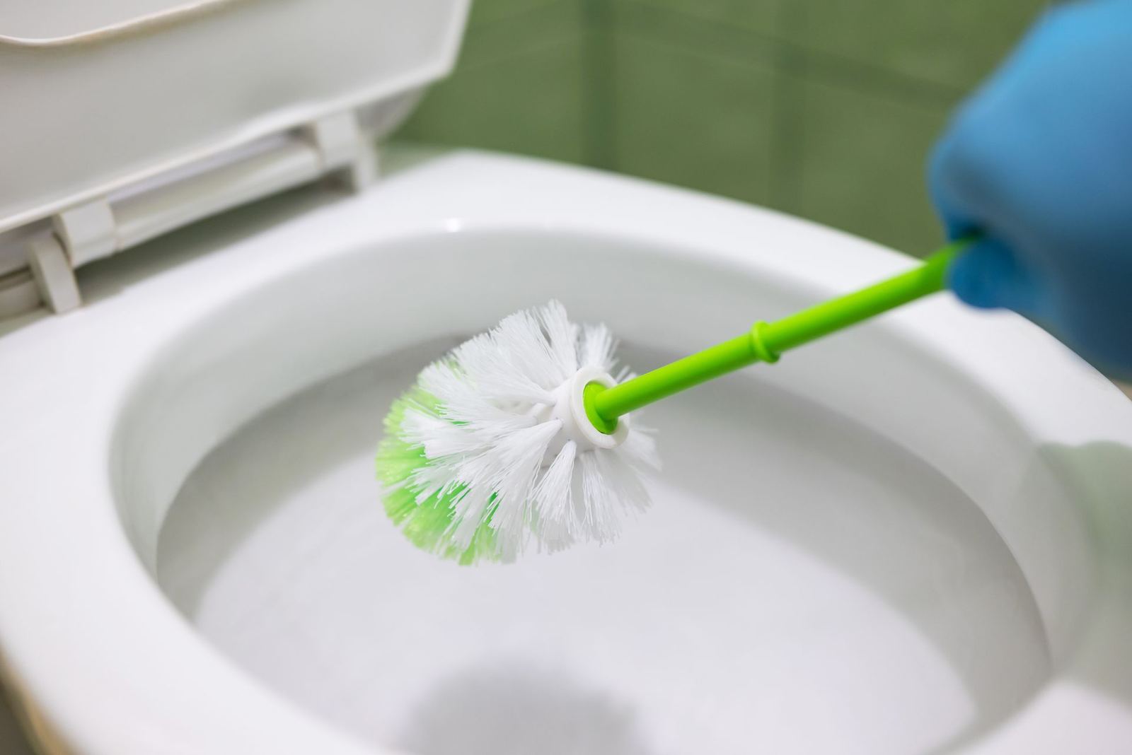 Bathrooms scrubbed & sanitized: regular house cleaning in Springfield, VA